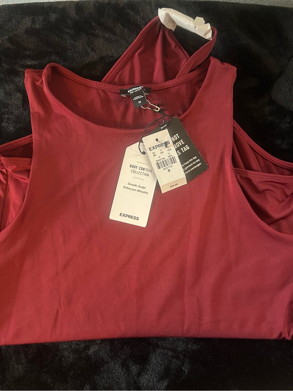 Express Sleeveless Rust Red High-Cut Bodysuit